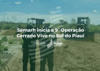 Semarh inicia 9ª Operação Cerrado Vivo no Sul do Piauí