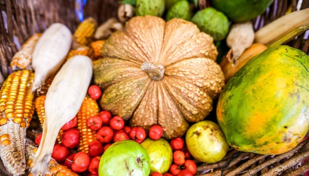 Programa de Aquisição de Alimentos beneficia mais de 32 mil famílias do Piauí no primeiro quadrimestre