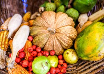 Programa de Aquisição de Alimentos beneficia mais de 32 mil famílias do Piauí no primeiro quadrimestre