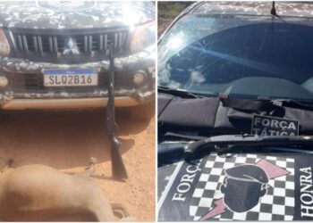 Homens são presos acusados de furta animais na zona rural de José de Freitas