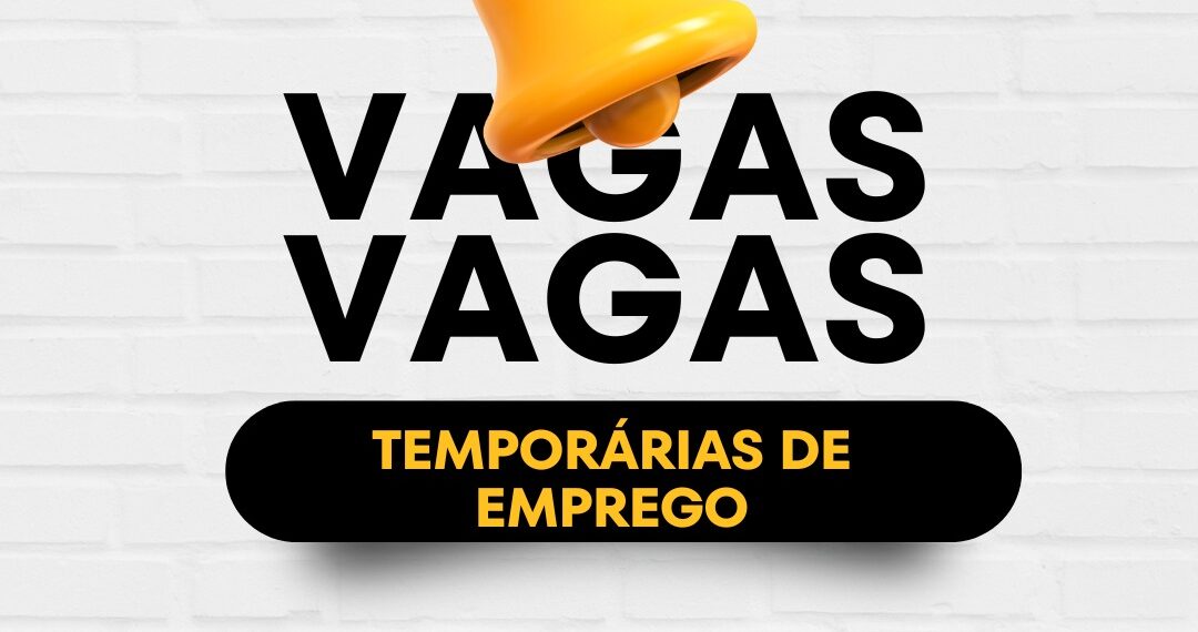Governador Rafael Fonteles autoriza processo seletivo na SASC