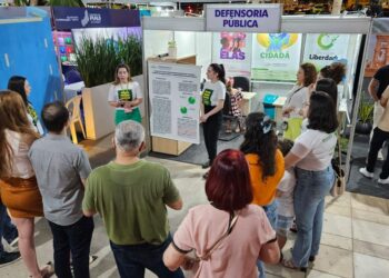 Espaço da Defensoria Pública é uma das atrações do Salipi,