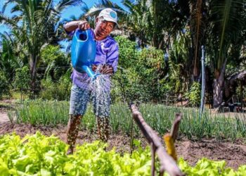 Governo do Piauí lança programas e anuncia recursos de quase R$ 100 milhões para agricultura familiar nesta quinta (25)