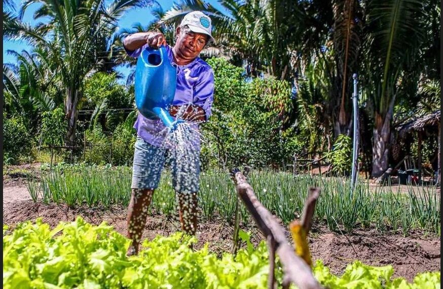 Governo do Piauí lança programas e anuncia recursos de quase R$ 100 milhões para agricultura familiar nesta quinta (25)