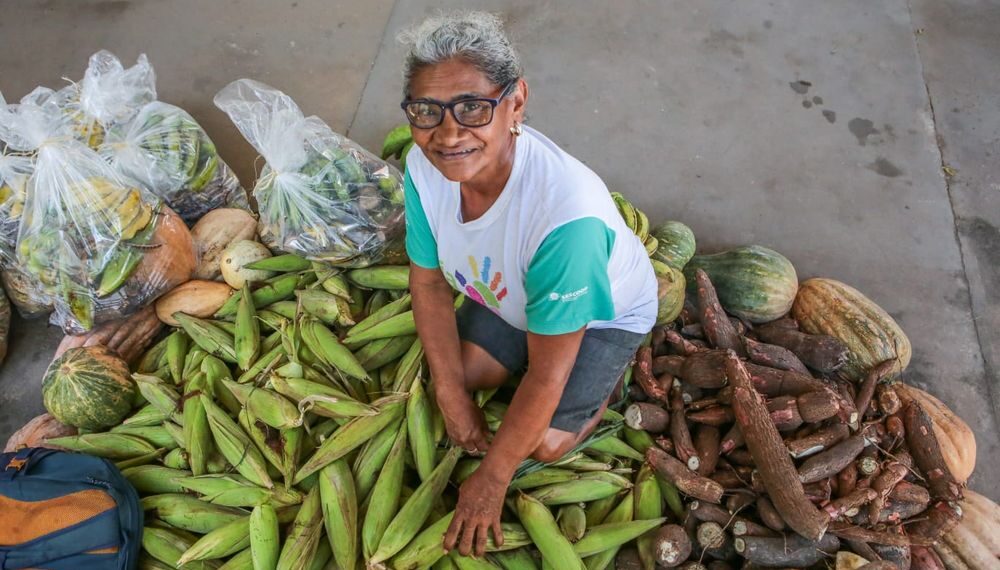 Com investimentos de R$ 8,3 milhões, Governo distribui quase mil toneladas de alimentos para famílias em vulnerabilidade