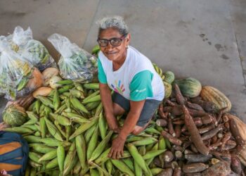 Com investimentos de R$ 8,3 milhões, Governo distribui quase mil toneladas de alimentos para famílias em vulnerabilidade