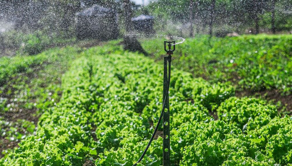 SAF entrega kits de irrigação para agricultores familiares de 60 municípios nesta sexta (5)