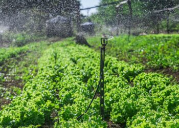 SAF entrega kits de irrigação para agricultores familiares de 60 municípios nesta sexta (5)
