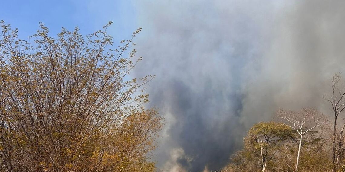 Semarh aponta diminuição de 47% dos incêndios florestais no mês de setembro em comparação a 2023