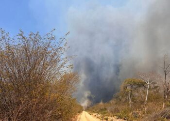 Semarh aponta diminuição de 47% dos incêndios florestais no mês de setembro em comparação a 2023