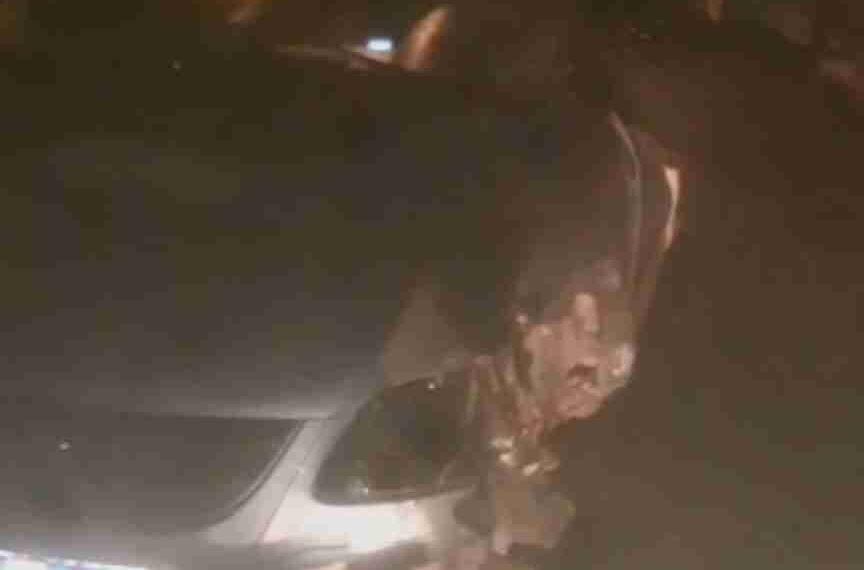 Freitense morre em grave acidente na PI-113 após deixar a casa da mãe em José de Freitas Compartilhar Twittar Pin