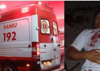 Acidente envolvendo um animal deixa duas pessoas feridas na PI-113 em José de Freitas