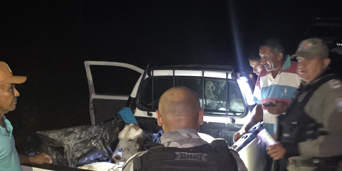 Homem é preso furtando animais na zona rural de José de Freitas
