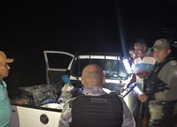 Homem é preso furtando animais na zona rural de José de Freitas