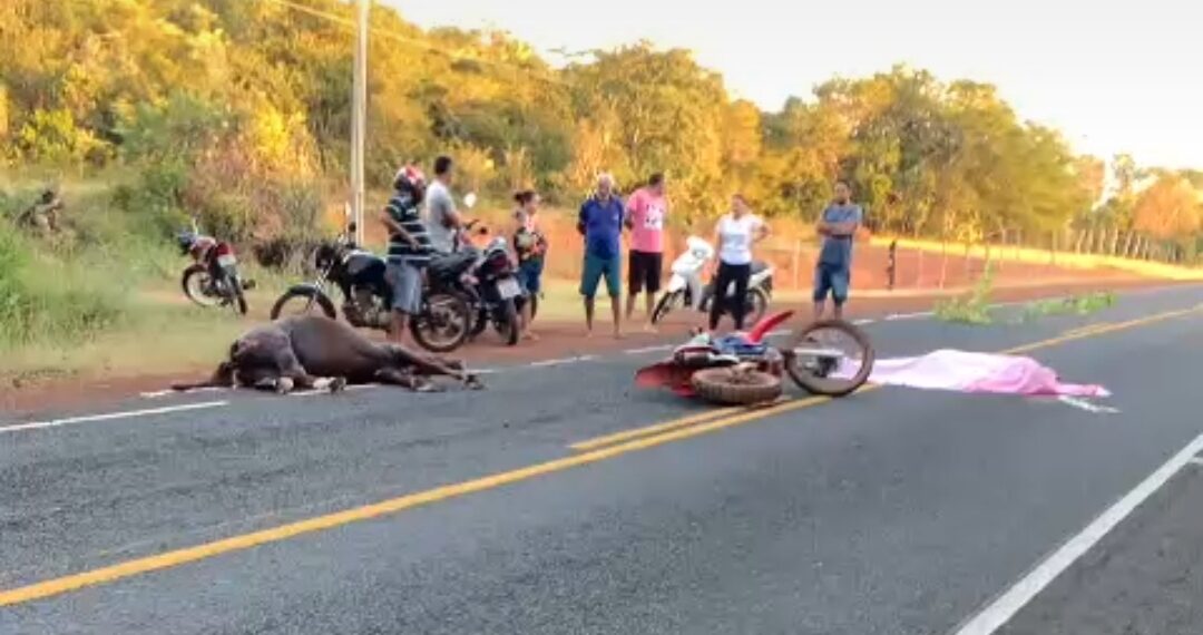 Freitense morre em colisão de motocicleta com um cavalo na PI-114