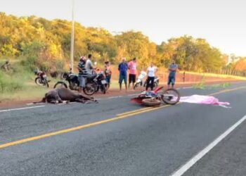 Freitense morre em colisão de motocicleta com um cavalo na PI-114