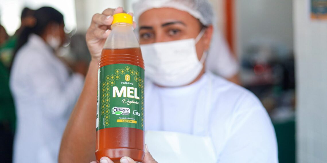 Secretaria da Educação anuncia compra de mel para merenda escolar e apoio a apicultores piauienses