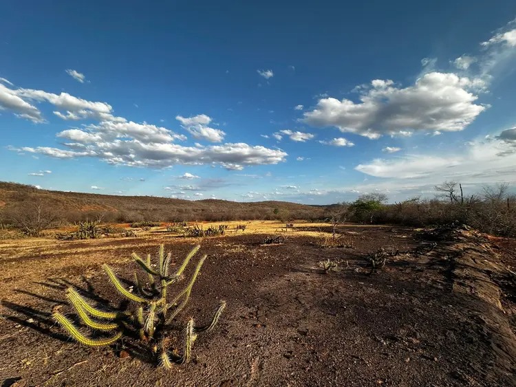 Mais três cidades do Piauí entram em emergência por seca e estiagem