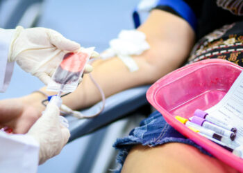 Veja como agendar doação de sangue no Hemopi pela internet
