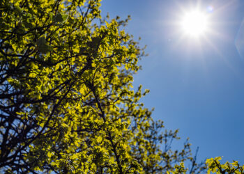 Cidades do Piauí dominam ranking de calor no Brasil com até 41,3°C