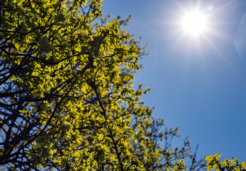 Cidades do Piauí dominam ranking de calor no Brasil com até 41,3°C